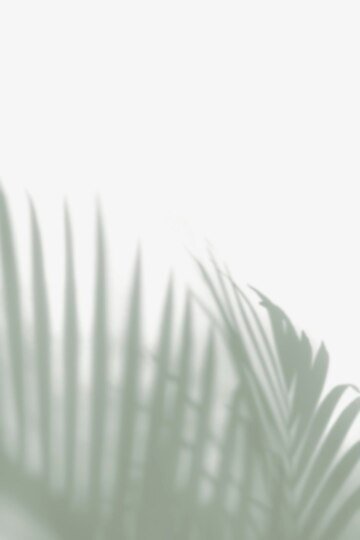 Soft blurred ferns on a white background evoking calm, mindfulness, and present-moment focus