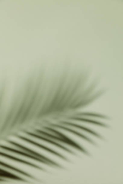 Page: Description: Message/Feeling/Vibe